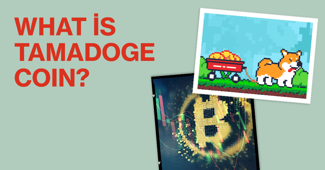 What is a Tamadoge Coin? Does Tamadoge Coin earn you money?